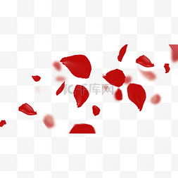 红色飘落玫瑰图片_情人节飘落的精致玫瑰花瓣