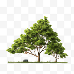 棕色叶子手图片_3D渲染树生长图隔离png文件