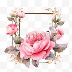 标题框粉红色图片_水彩粉红色英国玫瑰与金框