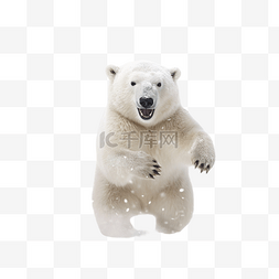 滑冰孩子图片_北极熊在飘落的雪花下滑冰