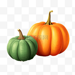 万圣节和感恩节的两个南瓜橙色和