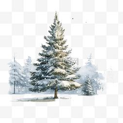 冬天雪地里的圣诞树在暴风雪自然
