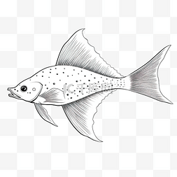 海洋生物手绘素描图片_长尾软骨鱼 orlyak 海洋居民手绘风