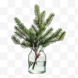 北欧舒适图片_花瓶中的替代圣诞树，带有天然冷