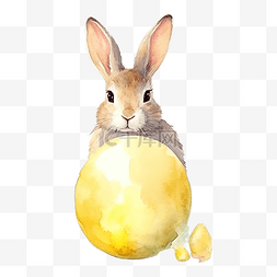 復活節兔子图片_黄色鸡蛋上的兔子水彩