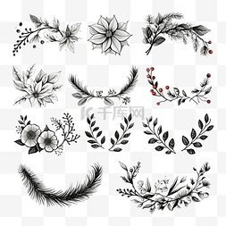 冬季植物花图片_圣诞边框系列，配有装饰性手绘时