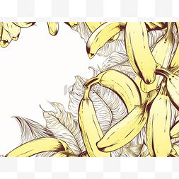 一束香蕉的手绘图像