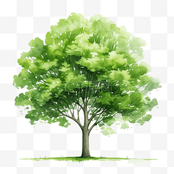 水彩绿树ai生成