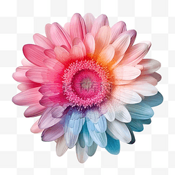 粉色小碎花花环图片_非洲菊雏菊花在背景上与生成 AI 