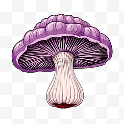 带线条的紫色蘑菇