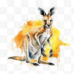 澳洲和牛素材图片_橄榄球 澳大利亚 袋鼠 小袋鼠