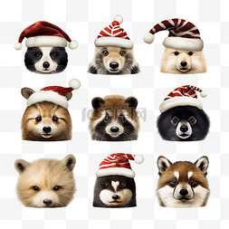 插画狐狸图片_可爱的动物头戴圣诞老人帽子进行