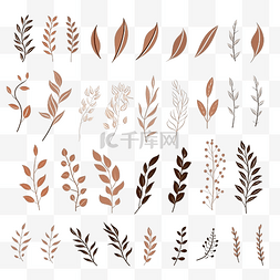 浅褐色花图片_一组棕色干植物叶子插图框架图案