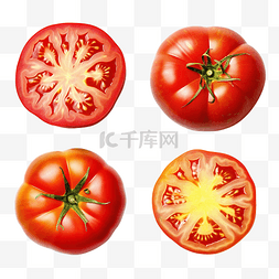 一套四个番茄品种生成人工智能