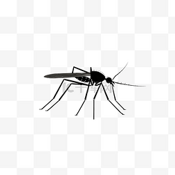 天蝎座剪影图片_孤立的蚊子剪影