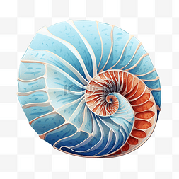 鹦鹉螺卡通壳