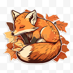 秋天的狐狸图片_睡在秋叶中的狐狸贴纸剪贴画 向