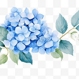 优雅蓝色图片_水彩水平无缝背景与蓝色绣球花