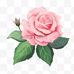美丽绽放矢量素材图片_粉红玫瑰与绿叶矢量 pro