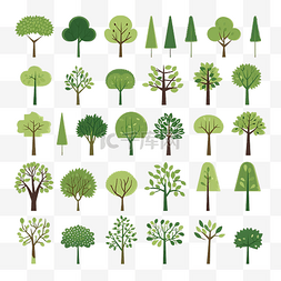 树木插画合集 绿树自然 健康插画 