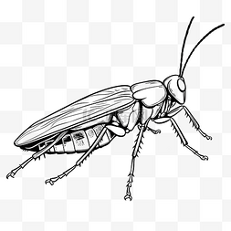 蚂蚁蟑螂图片_黑色涂鸦蚱蜢