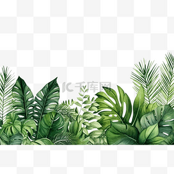 美丽的夏天边框图片_绿色热带树叶和植物水彩插图的无