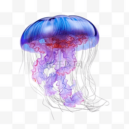 紫色的水母图片_孤立的 3d 水母
