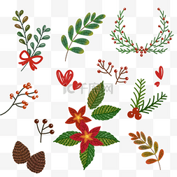 植物挂件图片_圣诞节色彩缤纷的一品红树叶浆果