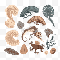 化石剪贴画恐龙化石矢量风格集卡