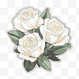 三朵图片_贴纸中描绘了三朵白玫瑰 向量