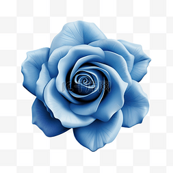 蓝色玫瑰花朵元素