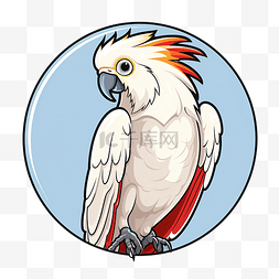白色凤头鹦鹉符号颜色
