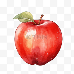 红苹果水彩插图
