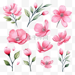 春天盛开的花朵图片_水彩组粉红色盛开的花朵与绿叶