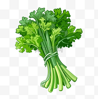 芹菜剪贴画白色背景显示一束欧芹卡通 向量