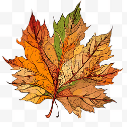 秋天叶子轮廓剪贴画红色金橙色枫