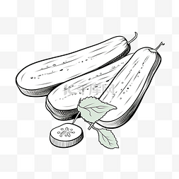 黄瓜蔬菜简单线条插画