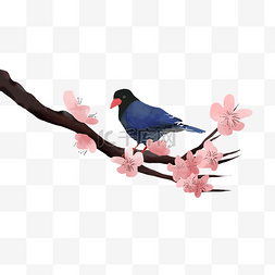 小鸟中画图片_花鸟画中国风格粉色花朵