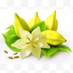3d杨桃图片_白色背景中的柠檬花和种子