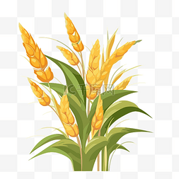 玉米秆剪贴画白色背景卡通上的黄