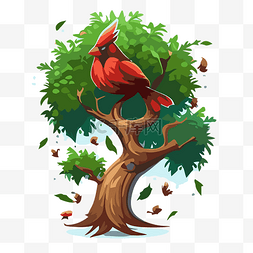 卡通红红衣主教鸟在树上 向量