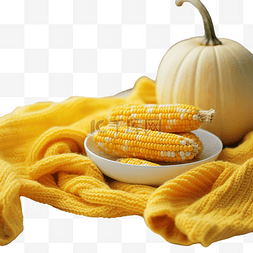 黄色针织毛衣上的秋玉米