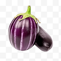 新鲜的蔬菜水果图片_新鲜的泰国紫色圆茄子分离