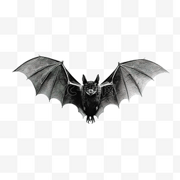 飞行器透明背景图片_黑色飞行蝙蝠