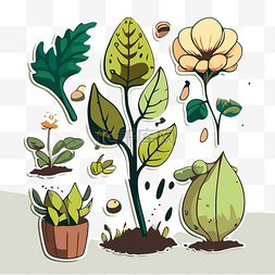 灰色背景矢量图上的卡通植物插图