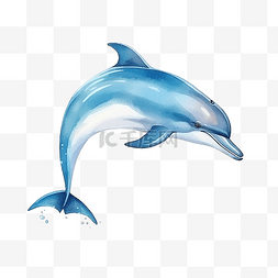 海洋海豚图片_海豚插画 海洋生物 动物插画