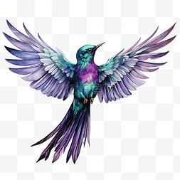 绿色晴天图片_紫色的鸟，绿色的翅膀