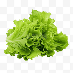 生菜叶的盘图片_孤立的绿色生菜叶沙拉
