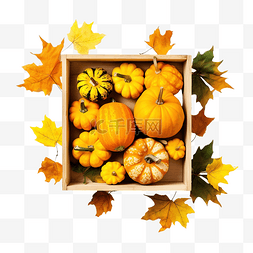 秋平铺着成熟的南瓜和黄叶在木箱