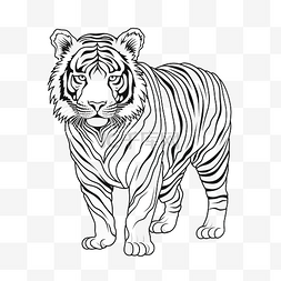 老虎单线艺术线条动物